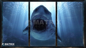 megalodon1_3_d4453